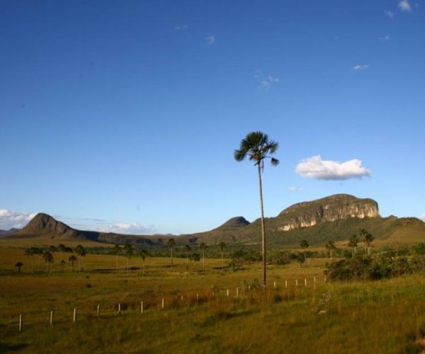 Chapada dos Veadeiros