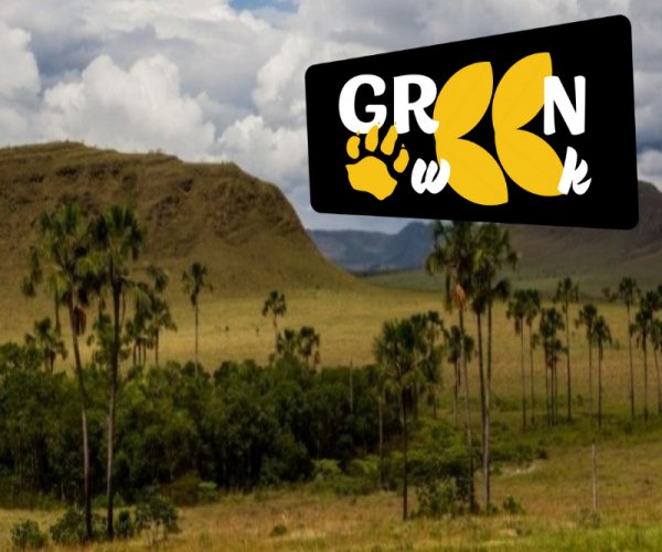 Chapada dos Veadeiros