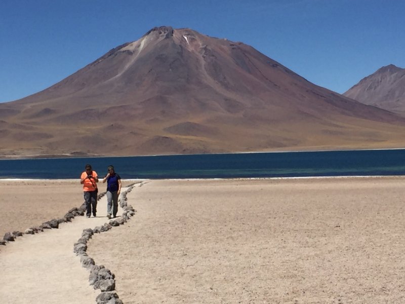 Atacama - Lagunas Altiplanicas