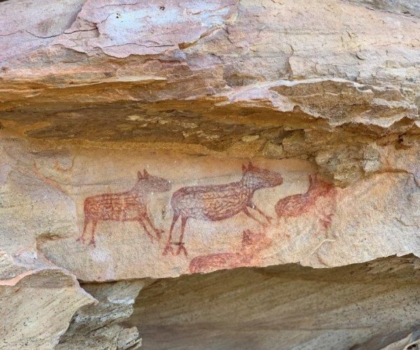 Pinturas rupestres da Serra da Capivara