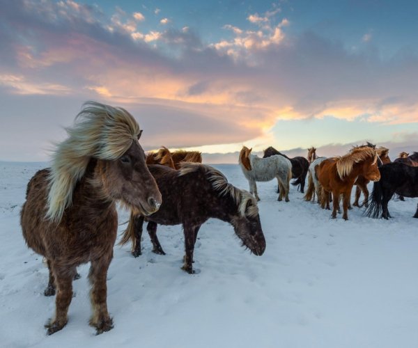 Inverno na Islândia