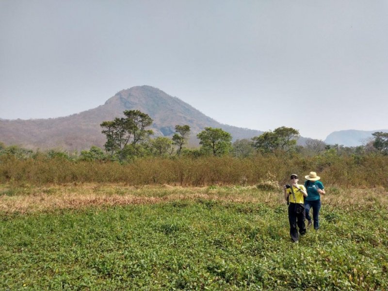 Pantanal Sul e Serra do Amolar - Créditos: Douglas Simões