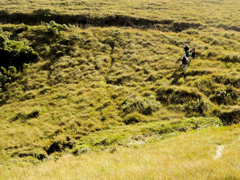 Trekking nos Campos de Altitude