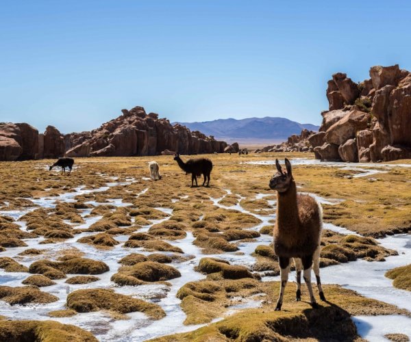 Uyuni