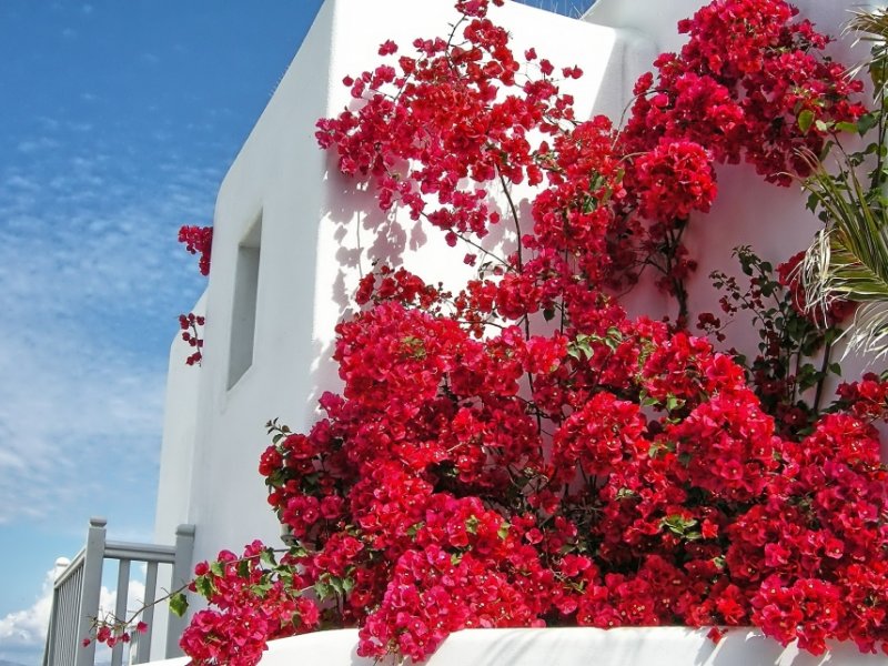 Mykonos