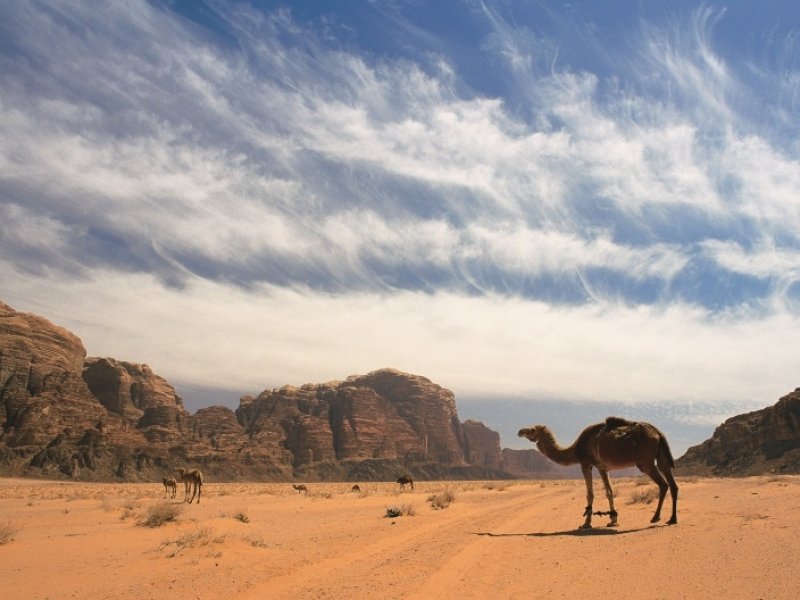 Wadi Rum - crédito: Visit Jordan