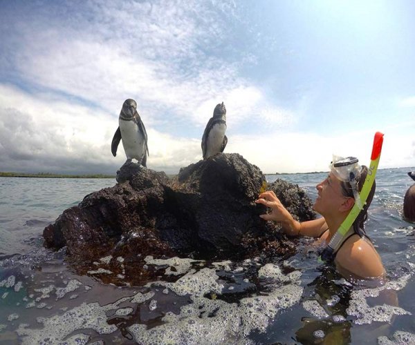 Fauna de Galápagos