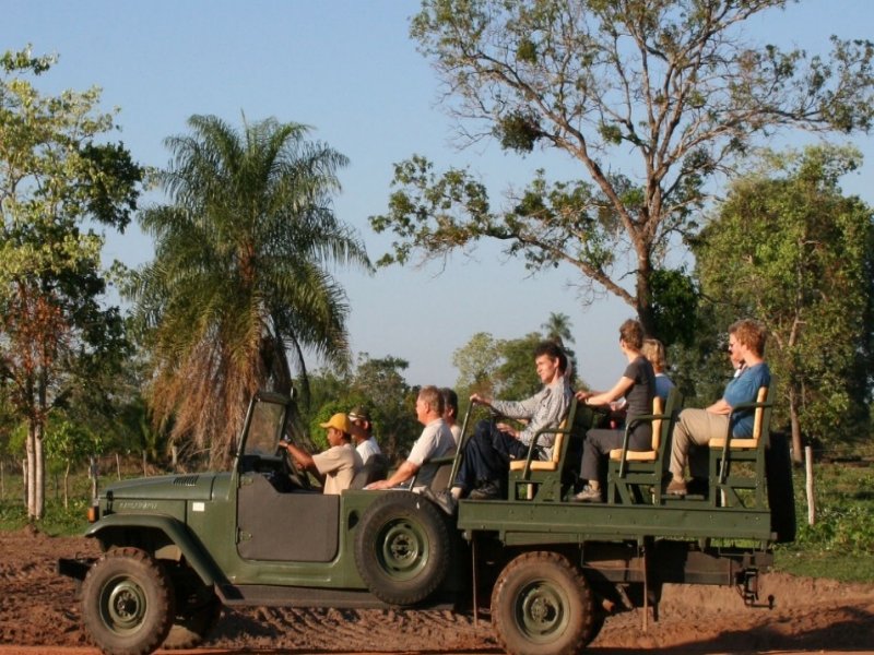 Passeios no Pantanal: 8 Lugares Que Vale a Pena Incluir no Roteiro