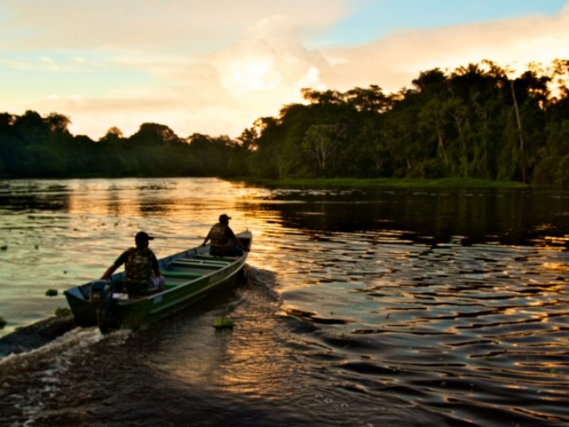 Grandes Viagens pelo Brasil: Expedições Fluviais na Amazônia e Pará - Campinas