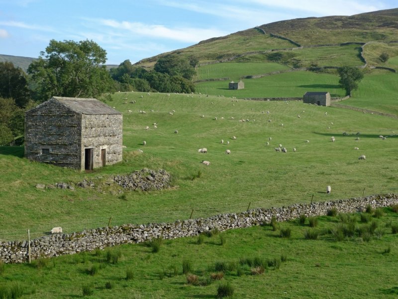 Dales Yorkshire