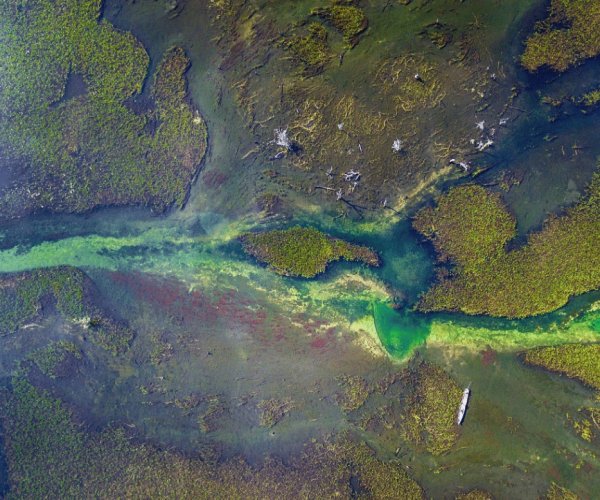 Pantanal Sul e Serra do Amolar