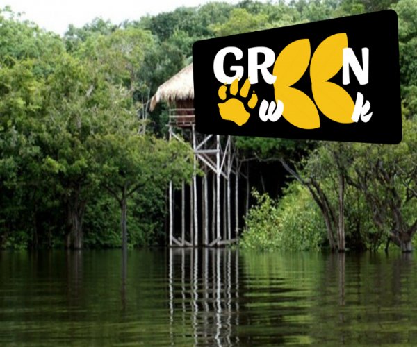 Bangalô Vista Rio - Juma Lodge