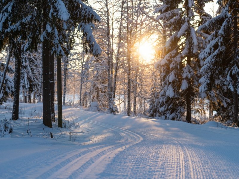 Inverno na Lapônia