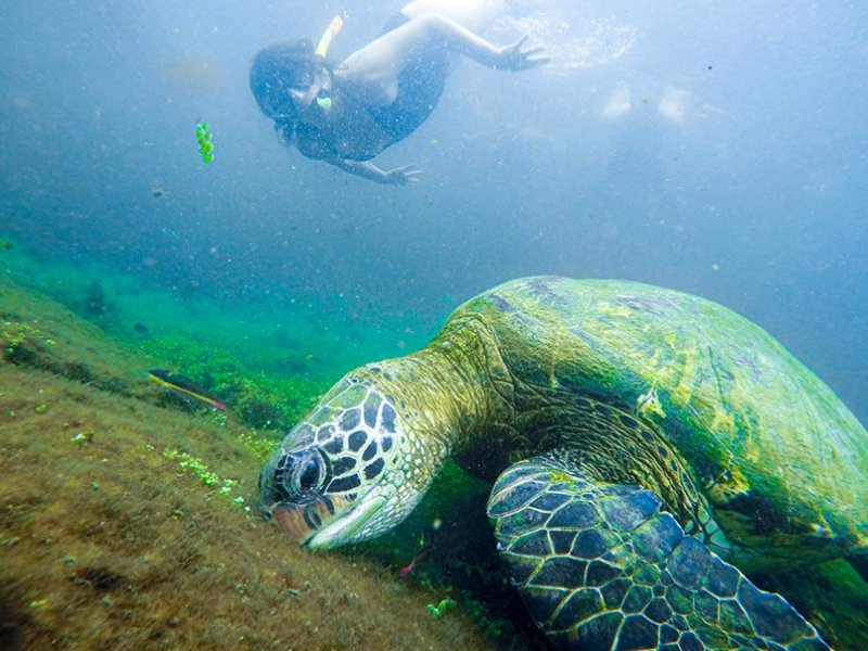 Ilhas Galápagos