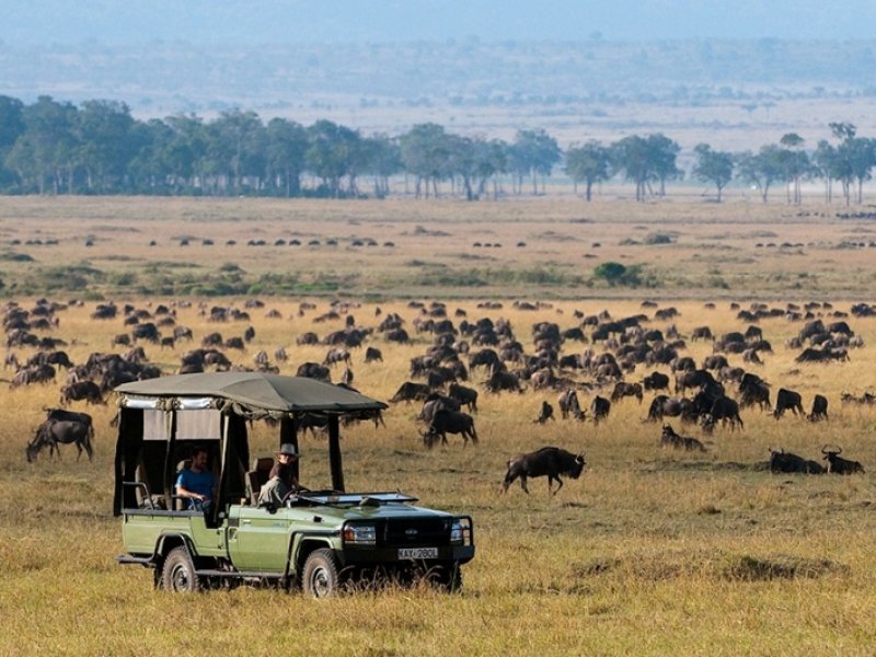 Quênia by Great Plains Conservation