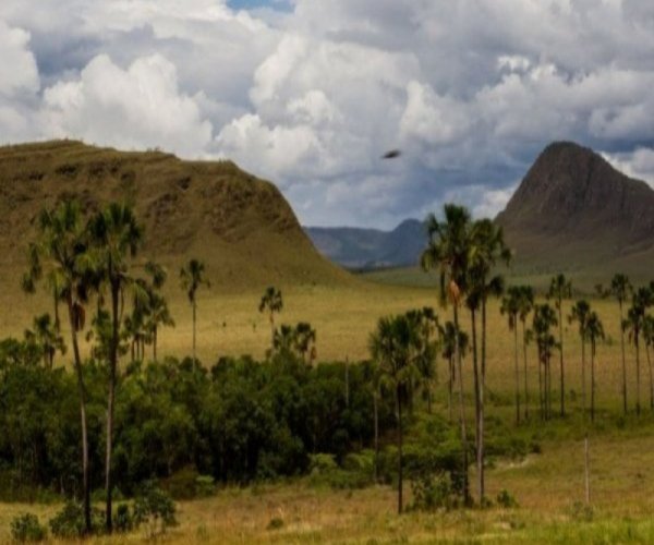 Chapada dos Veadeiros