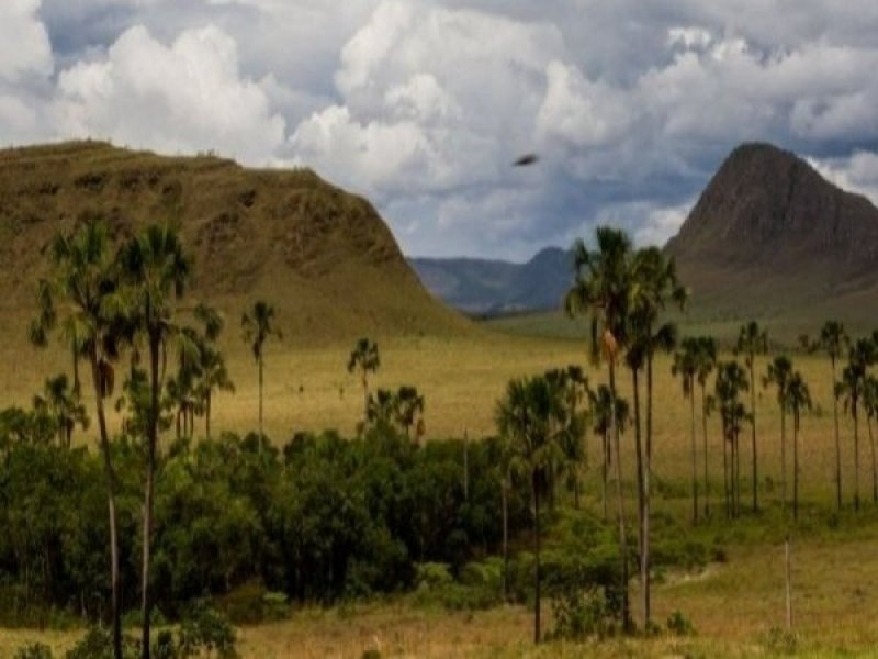 Chapada dos Veadeiros