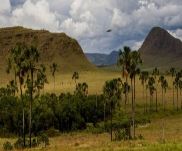 Chapada dos Veadeiros