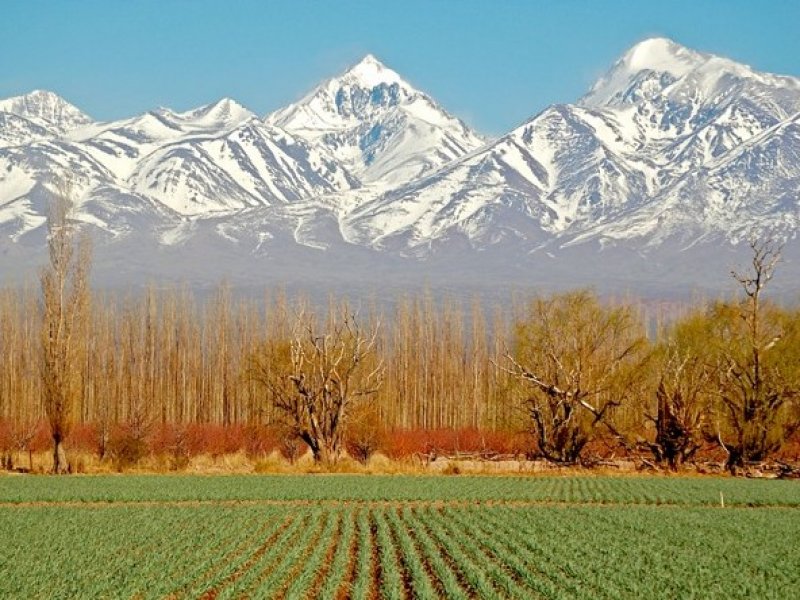 Mendoza 
