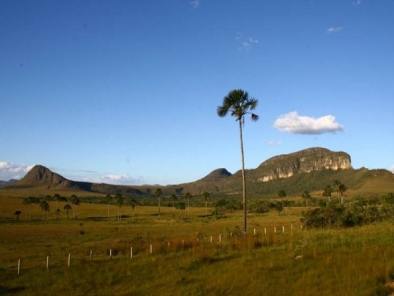 Chapada dos Veadeiros