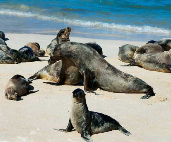 Ilhas Galápagos