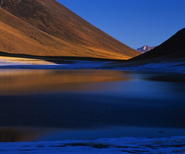 Lagunas Altiplanicas - Deserto de Atacama