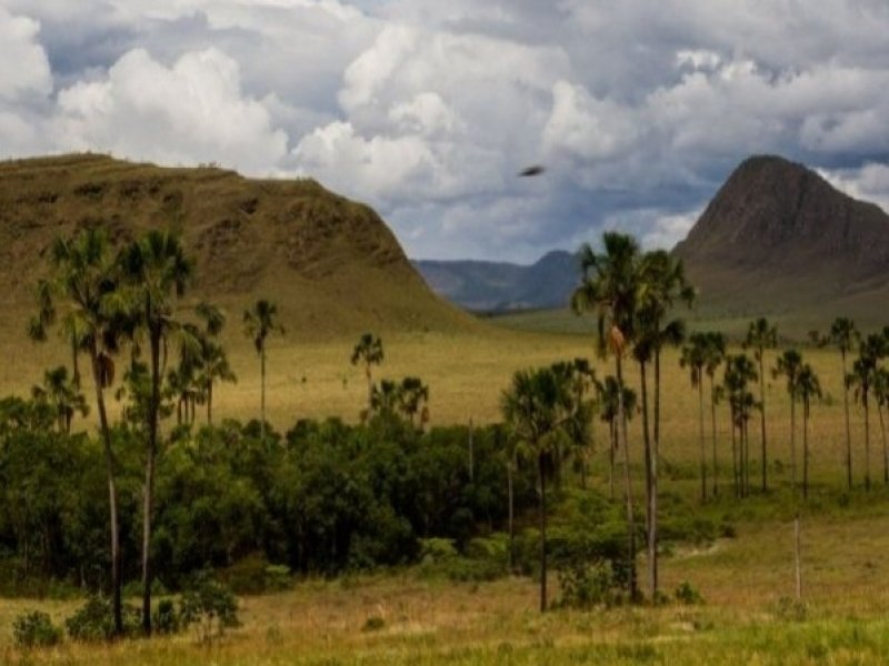 Chapada dos Veadeiros