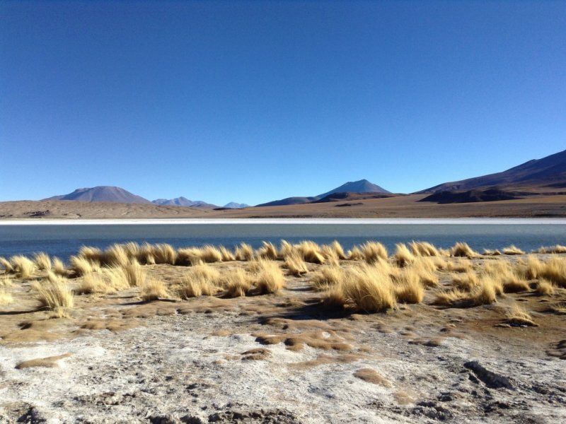 Altiplano boliviano
