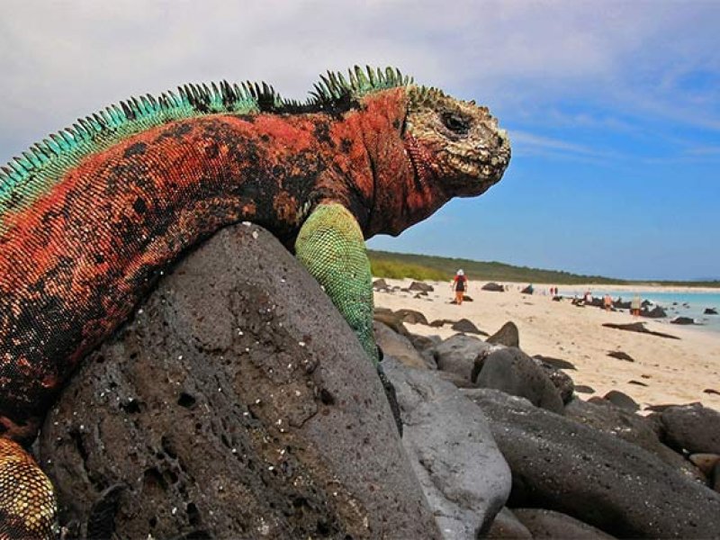 Ilhas Galápagos