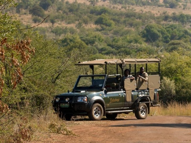 Safari na África