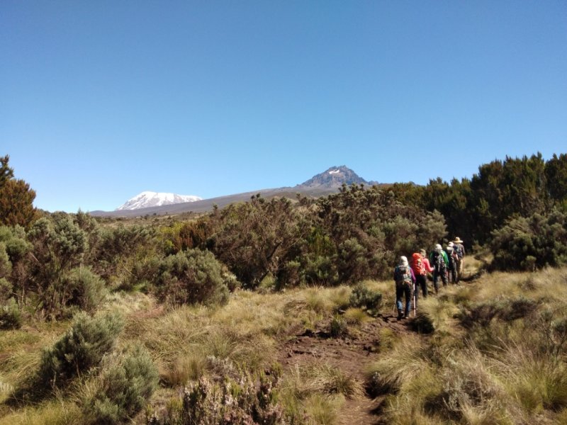 Tanzânia - Expedição ao Topo do Kilimanjaro com Safári