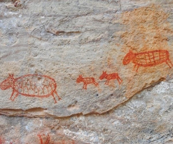 Pinturas Rupestres - Serra da Capivara