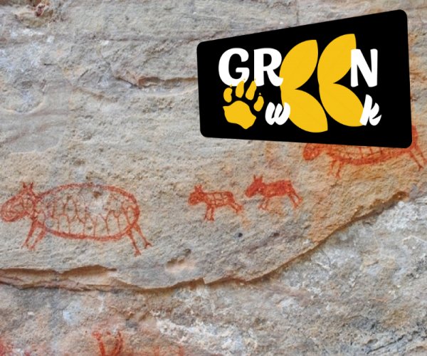 Pinturas Rupestres - Serra da Capivara