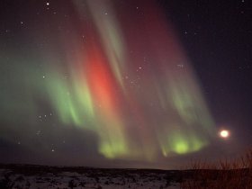 Islândia - Aurora Boreal em Reykjavík