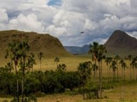ESPECIAL FIM DE ANO - Chapada dos Veadeiros Express