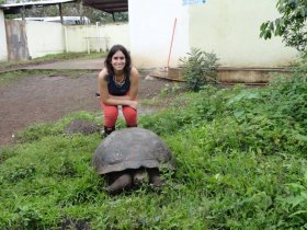 NATAL OU REVEILLON - Equador - Quito e Galápagos
