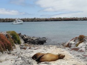NATAL OU REVEILLON - Equador - Combinado das Ilhas Galápagos