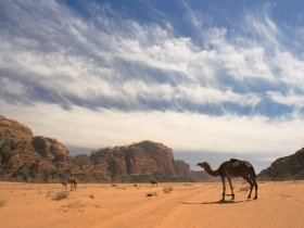 REVEILLON - Jordânia Cultural, Deserto de Wadi Rum e Mar Morto