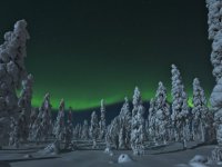 Finlândia, Suécia e Noruega - Os Encantos do Inverno e Aurora Boreal