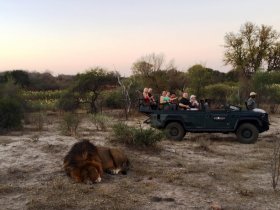 REVEILLON - África do Sul – Cape Town e Safari no Kruger – Karongwe Private Reserve
