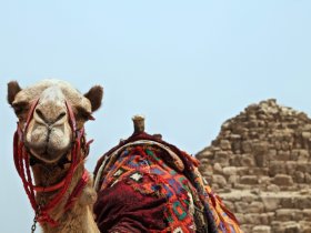 NATAL - Egito - Cairo e Tesouros do Rio Nilo Express
