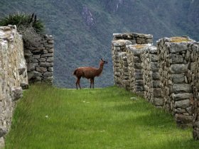 REVEILLON - Os Encantos de Cuzco e Machu Picchu