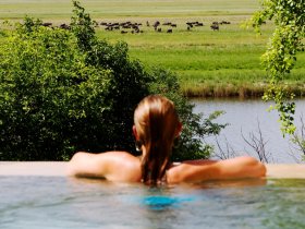 Botswana - Delta do Okavango, Reserva Moremi e Parque Nacional Chobe