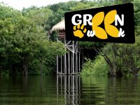 Amazônia - Juma Amazon Lodge com Pernoite na Selva