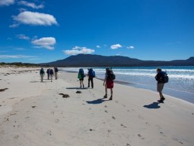 Austrália Aventura - Tasmânia - Travessia Maria Island