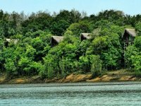 Amazônia - Juma Amazon Lodge