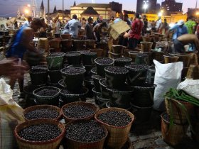 Pará - Descubra Belém e a Ilha de Marajó 