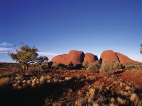 Austrália Aventura – Explorando o Outback Australiano