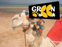 Egito - Cairo, Tesouros do Rio Nilo e Sharm El Sheikh