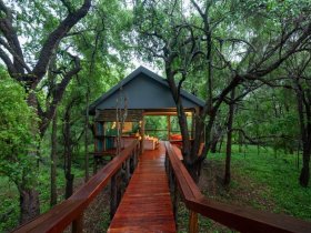 África do Sul - Safári no Madikwe Game Reserve by Jaci´s Lodge